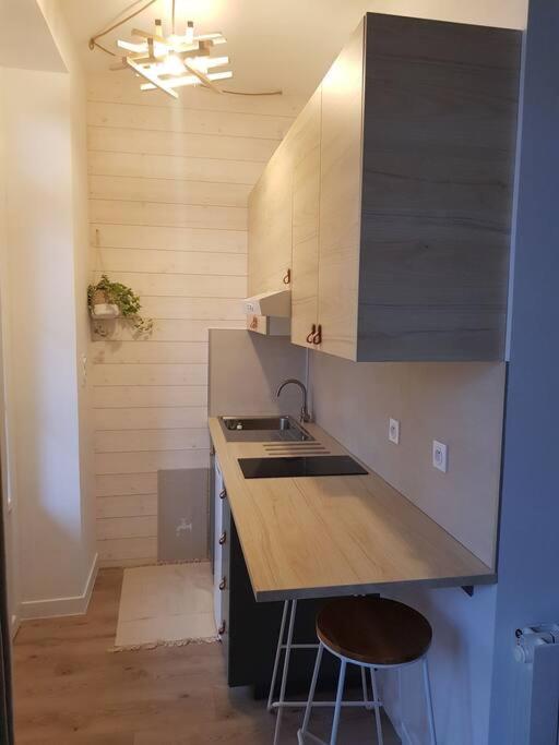 Studio Avec Terrasse Hyper Centre 维琪 外观 照片